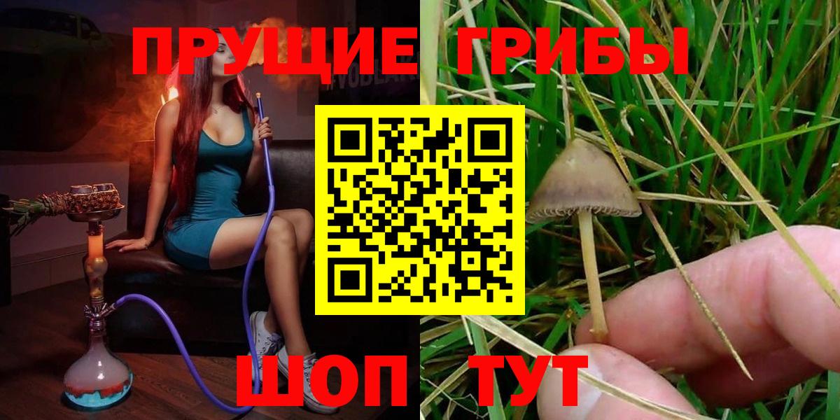Ишим  наркотики  Вход с VPN  Галлюциногенные грибы ЛСД  Галлюциногенные грибы GOLDEN TEACHER 